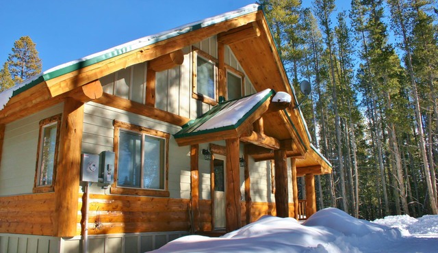 Bear's Den-Pet Friendly! Close to Ski Cooper. Private lake access!