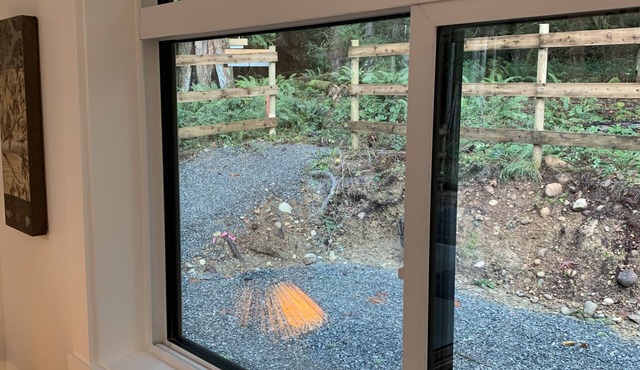 Black Bears Den - Cozy cottage in the woods pet friendly and hiking at your door in Qualicum Beach