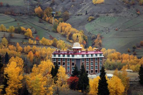 Black Forest Hotel in Savsat