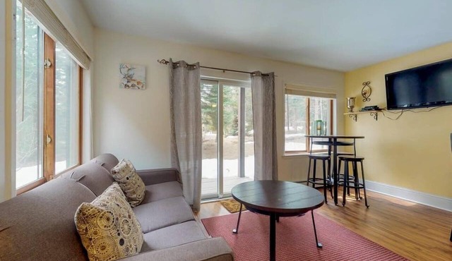Breckenridge Ski-in, Hot Tub, Pet-Friendly