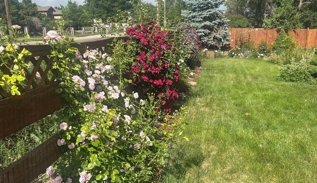Brilliant 4-bedroom house with AC in Arvada! Family and Pet friendly,