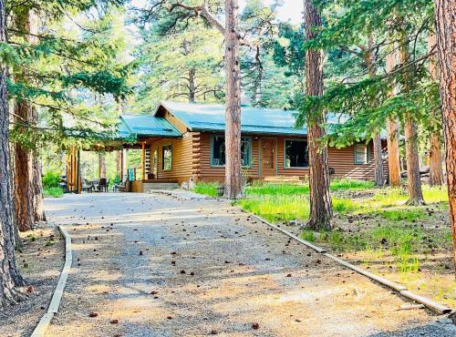 Cabin on the Creek with Fireplace, Game Room, and Firepit