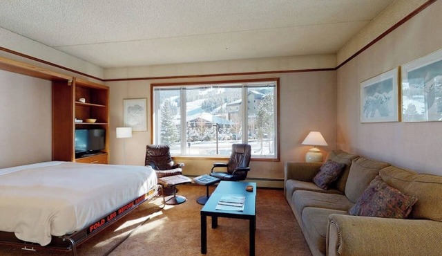 Casual ski studio with mountain views and shared hot tub - close to ski lifts