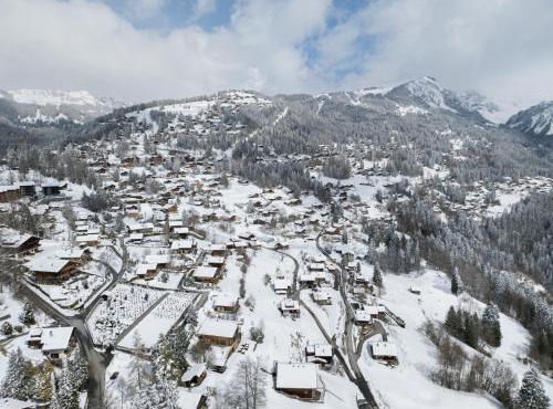 Chalet Chalet Zan-Fleuron by Interhome in Arveyes