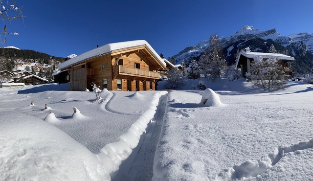 Chalet Vicky and Nino nice new apartment in Ormont-Dessus