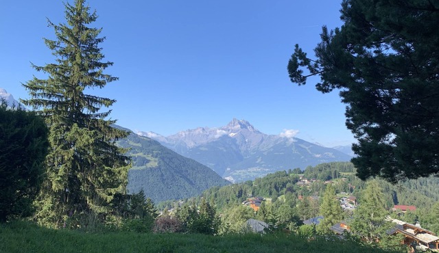 Charming chalet on the slopes! in Gryon
