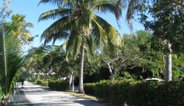 Charming Pompano Beach escape, nr ocean and hotspots, Walk to Beach, Hot Tub. in Pompano Beach
