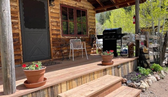 Clear Water Mountain Cabins- Bear Cabin