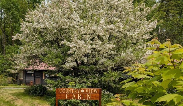 Country View Cabin: Wi-Fi, U-Driveway. Mins to lake/trails. in Brownville