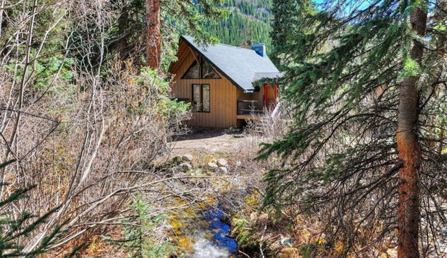 Cozy Creekside Cabin · Fireplace + Views
