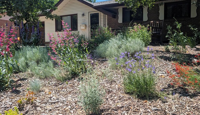 Cozy home in a quiet yet central location. Walk to shops, restaurants, trails +