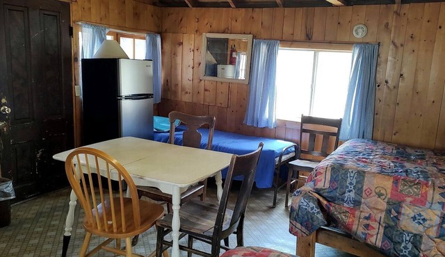 Cozy, Pet Friendly Cabin Deep in the Mountains for a Serene Getaway of Wilderness and Wildlife