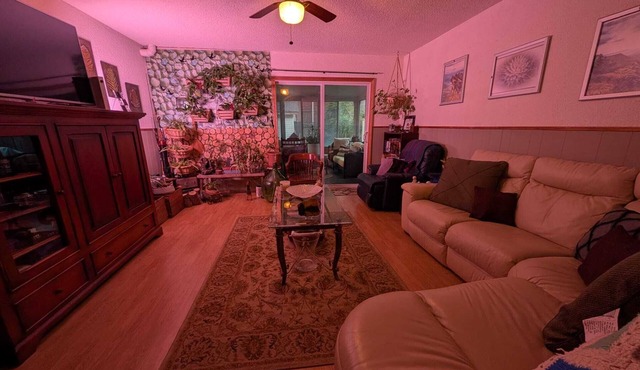 Cozy Private Room, Very close to Hospital, College & University, Free Parking. in Peterborough