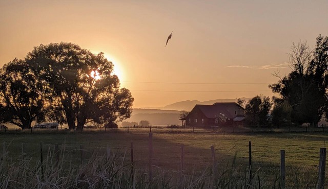 Cozy & rustic, yet modern cabin w/lots of charm. Located on working cattle ranch in Ignacio