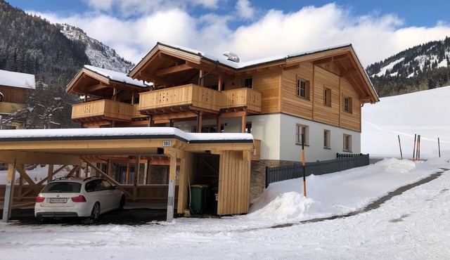 Dachstein West Apartments Top 1A in Rußbach am Pass Gschütt