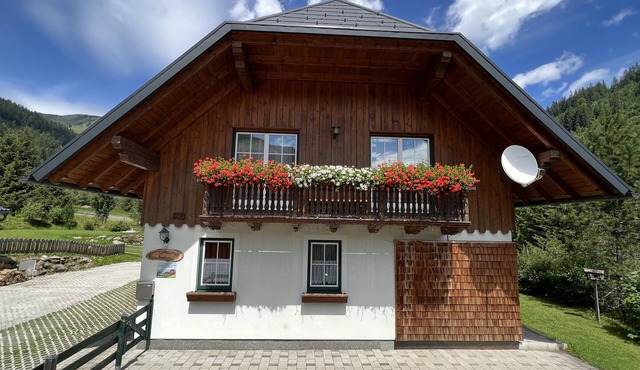 Deceleration in the Riesneralm apartment right on the ski slopes in Donnersbachwald