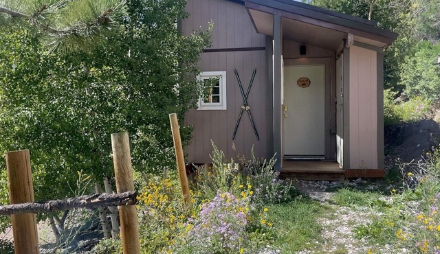 Dog Friendly Close to Monarch Mountain King Bed