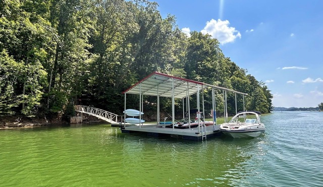 Douglas Lakefront Cabin - Private Dock - Sauna - Theater Room - Hot Tub- Firepit in Dandridge