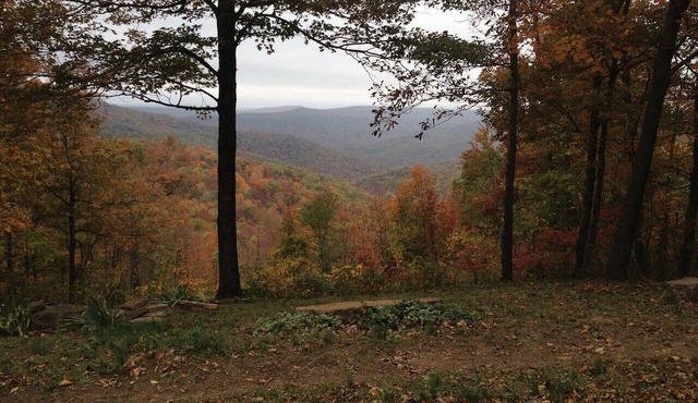 Epic Ozark View Cabin – Fast WiFi, Trails, Firepit in Oark