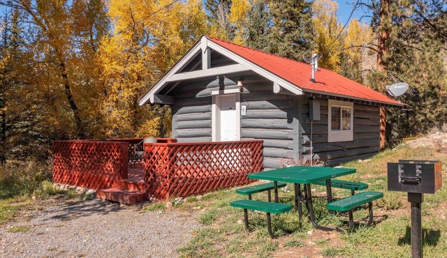Escape to Serenity: Pet-Friendly Mountain Haven by the Taylor River