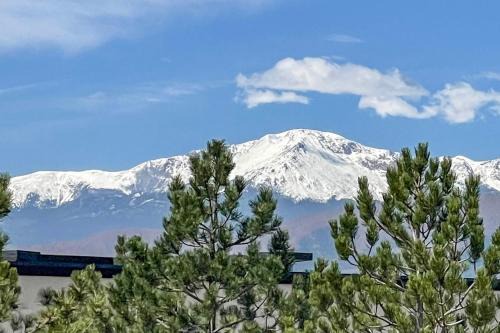 Explore The Springs! Family-Friendly Basement Unit