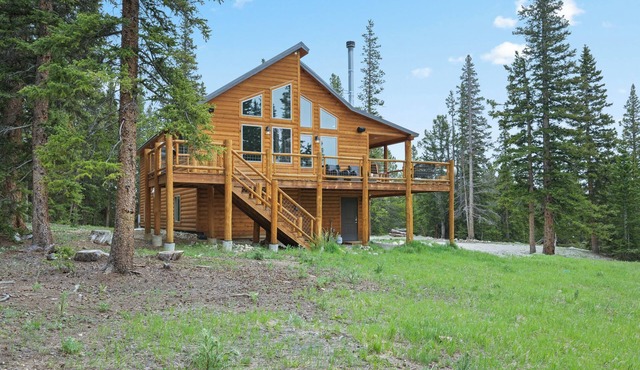 Fairplay cabin on 8 private acres — Game room