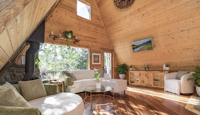 Fairytale Pine Cabin with Treehouse Studio! Near Evergreen & Mount Evans