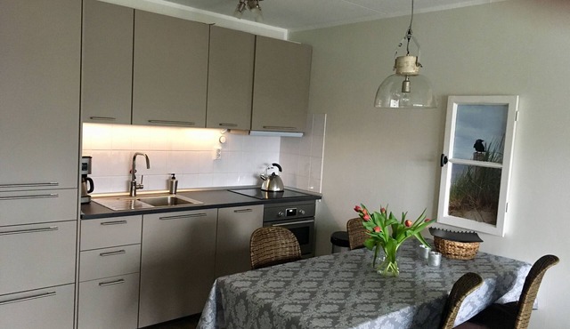 First floor apartment with south-facing terrace approx. 200 m to the beach in Callantsoog
