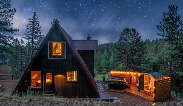 Forest A-Frame! Hot Tub, Sauna, Movie Room, Pets