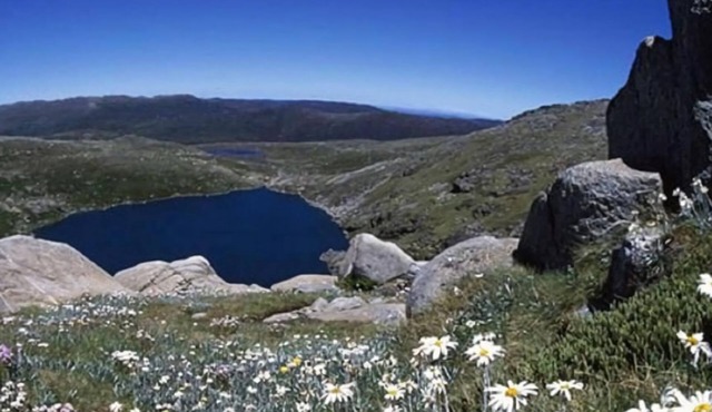 Four Mile Hut- Large Studio Apartment in Crackenback in Crackenback