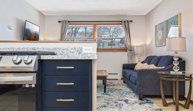 Fresh & Fabulous Fridley #2 Modern 2 BR Renovated Pet-Friendly Fenced Yard