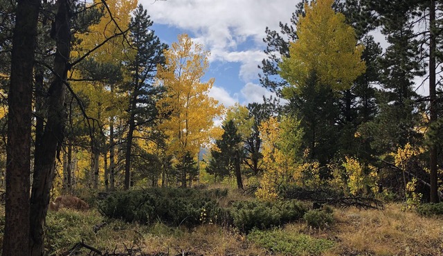 Gorgeous Fall Colors at Quartz Point Ranch: 20 beautiful acres to roam!