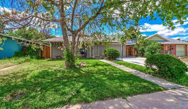 Grey Brick Home Close to Central Park & Anschutz Medical Campus