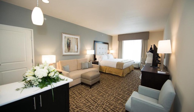 Holiday Inn Express & Suites Denver South - Castle Rock by IHG