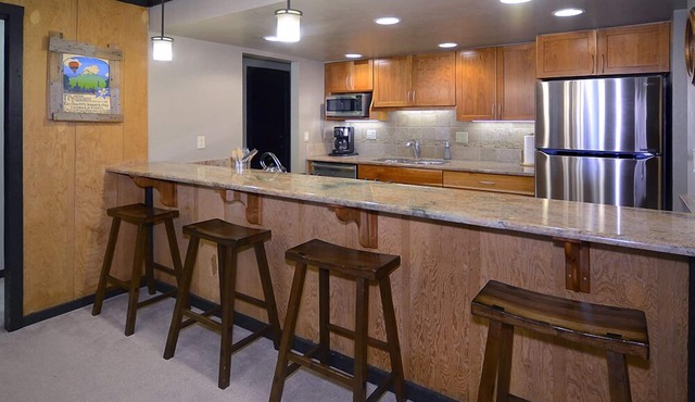 Ideal Mountain Condo! Ski-In/Ski-Out, Slopeside with Beautiful Views