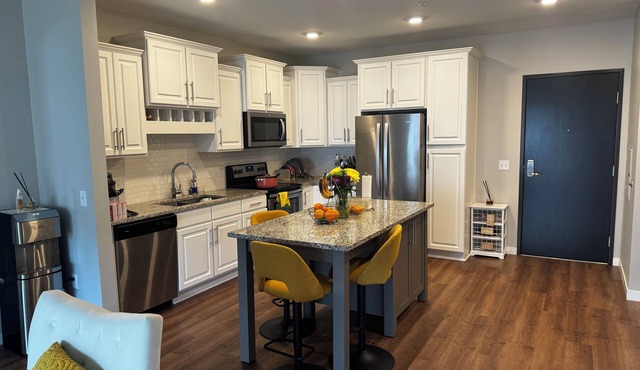 Luxury 2 bedroom apartment In the heart of Maple Grove MN in Maple Grove