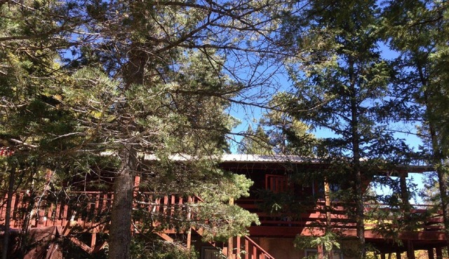 Magnificent View, In the woods! By Lodge & Golf course! Just Remodeled ceiling! in Cloudcroft