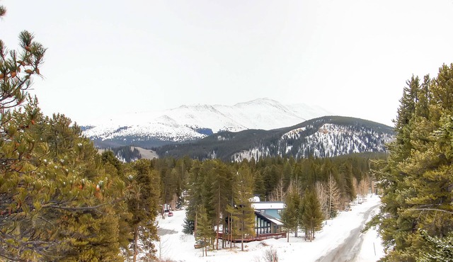 Mark IX #7: Outstanding Location - Close to Town and Slopes - Free Shuttle