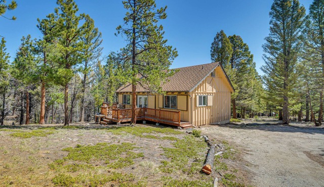 'McCall Creekside Cabin' Secluded Buena Vista Gem!