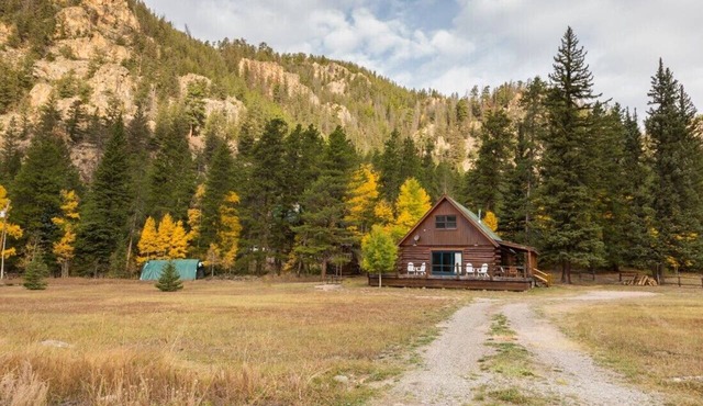 Modern Cabin in Spring Creek | 4 Bedroom | Bunk Room | Gas Grill | Parking