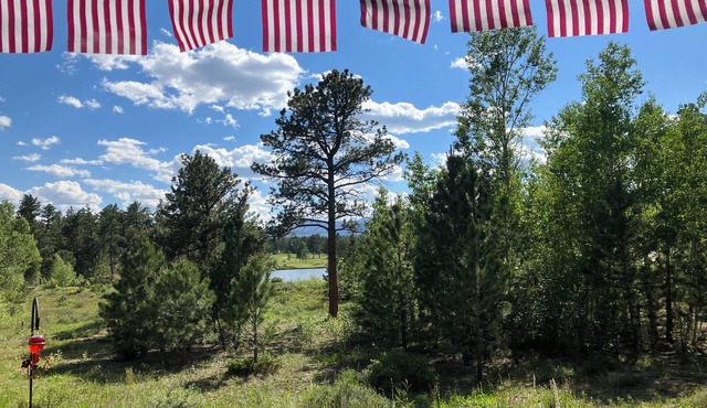 Mountain & Lake Views: A Getaway Nestled in Evergreen Trees & Golf Community.