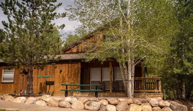 Mt. Elbert Chalet at Creekside Chalets