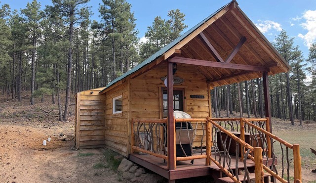 Newly built 1-bedroom cabin with loft in charming Aguilar for a cozy stay