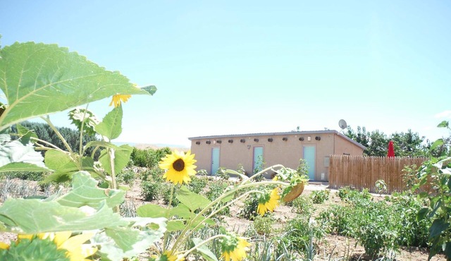 Orchard Guesthouse Cottage