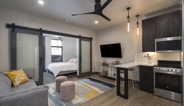 Park Ave Flat 5 | Luxury Condo, Minutes to Everything!