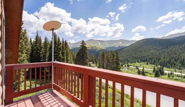 Pet-Friendly Mountain Cabin w/Hot Tub & Stunning Views
