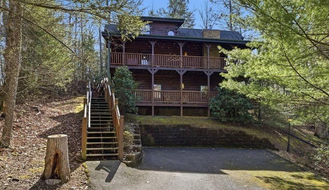 Pine & Dandy | Arts & Crafts District Cabin w/Hot Tub & Game Features