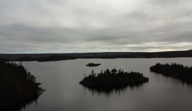 Pond View and Plenty of Room! in Cape Broyle