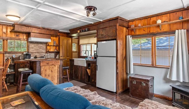 Private cabin - remote work sanctuary in the mountains in Drake