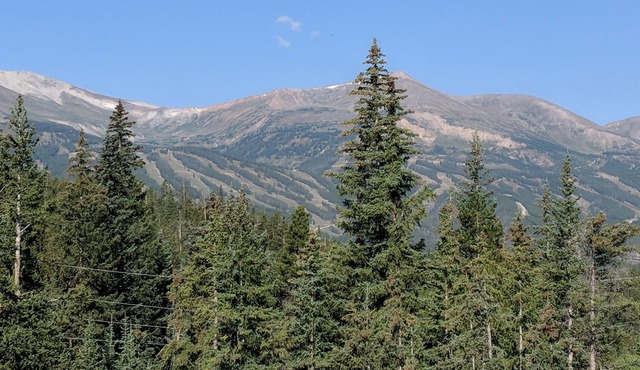 Private home with SPECTACULAR views of Breckenridge, minutes from town!